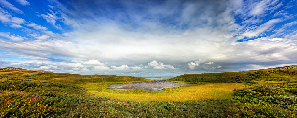 A wetland lagoon surrounded by green and golden tundra beneath a blue sky